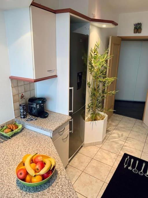 מולהאוס Grand Appartement 2 Chambres 5 Pers Max, Vue Panoramique Avec Parking מראה חיצוני תמונה