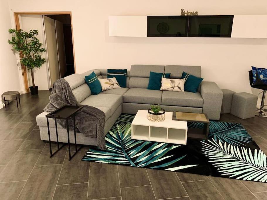 מולהאוס Grand Appartement 2 Chambres 5 Pers Max, Vue Panoramique Avec Parking מראה חיצוני תמונה