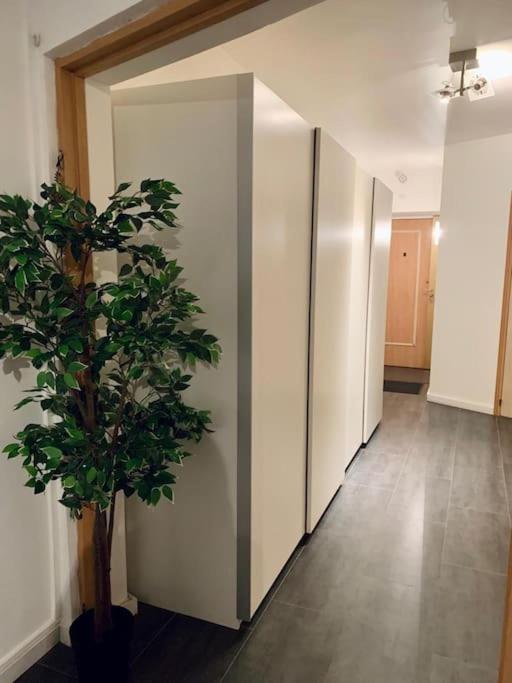 מולהאוס Grand Appartement 2 Chambres 5 Pers Max, Vue Panoramique Avec Parking מראה חיצוני תמונה
