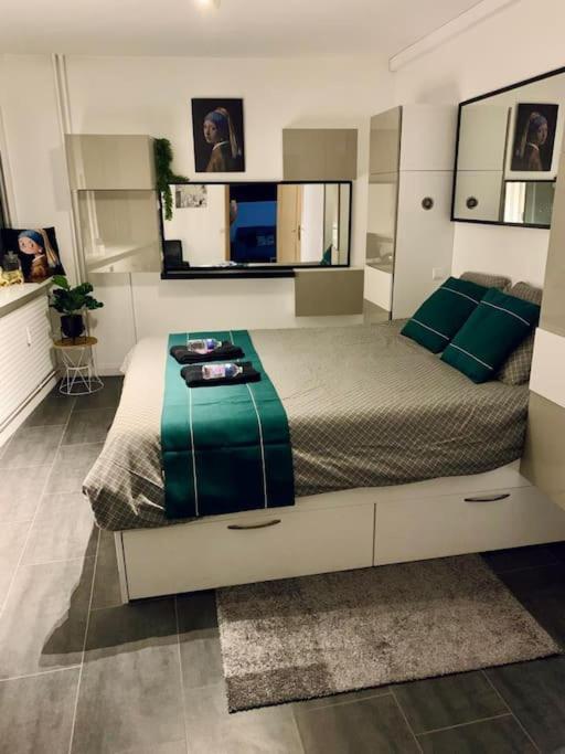 מולהאוס Grand Appartement 2 Chambres 5 Pers Max, Vue Panoramique Avec Parking מראה חיצוני תמונה