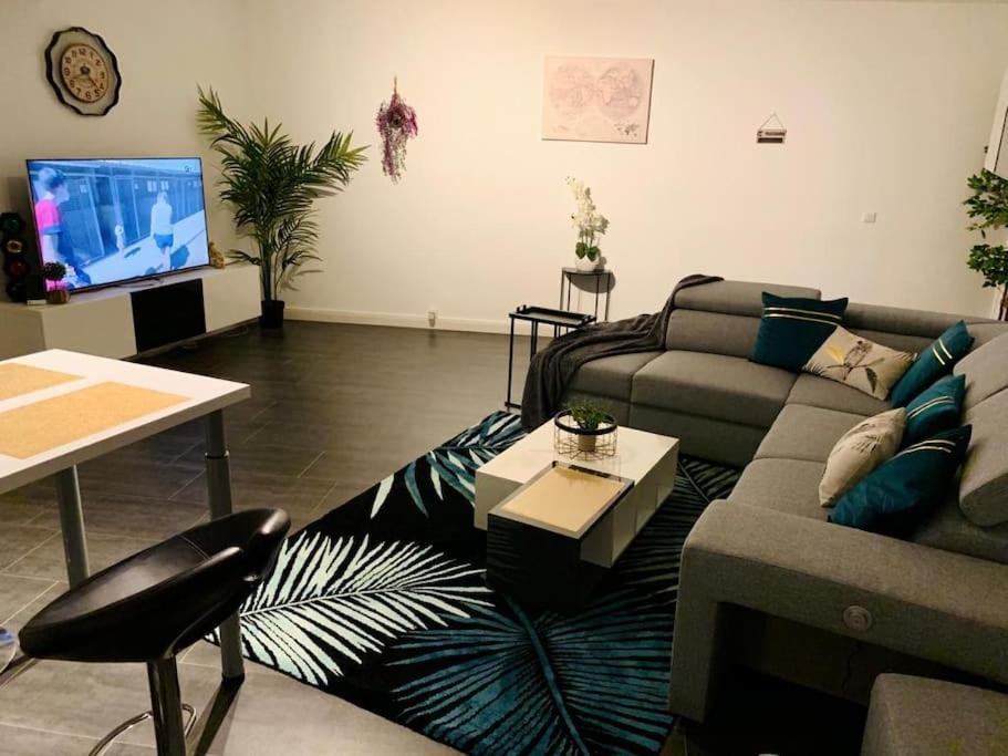 מולהאוס Grand Appartement 2 Chambres 5 Pers Max, Vue Panoramique Avec Parking מראה חיצוני תמונה
